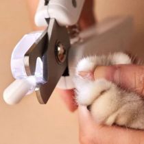Когтерез AnimAll Groom для котів та собак, з LED підсвічуванням та контейнером для збору пазурів, білий
